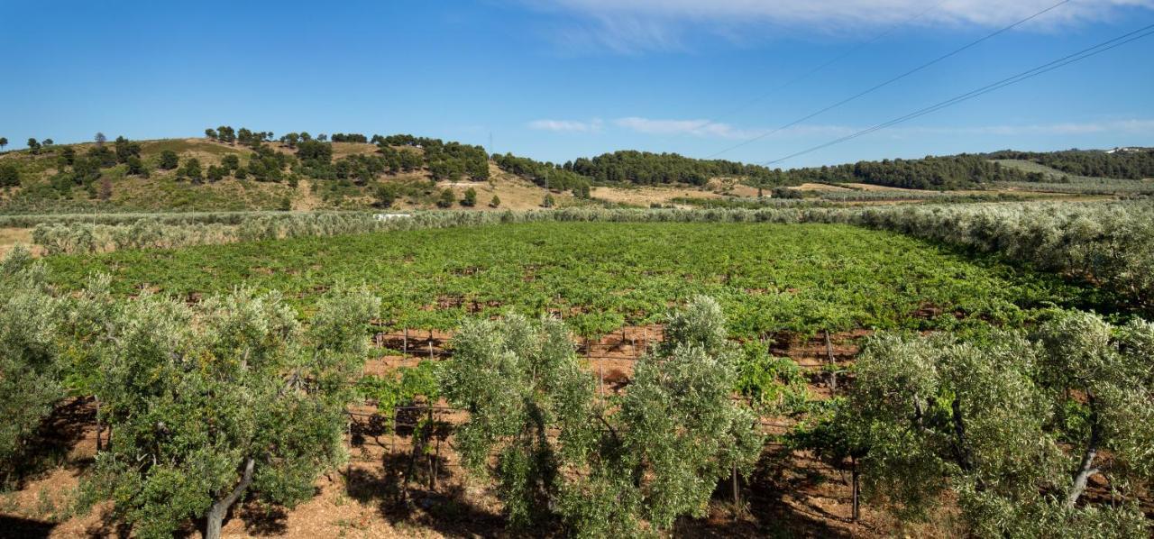 Agriturismo Posta Pastorella Весте Екстериор снимка