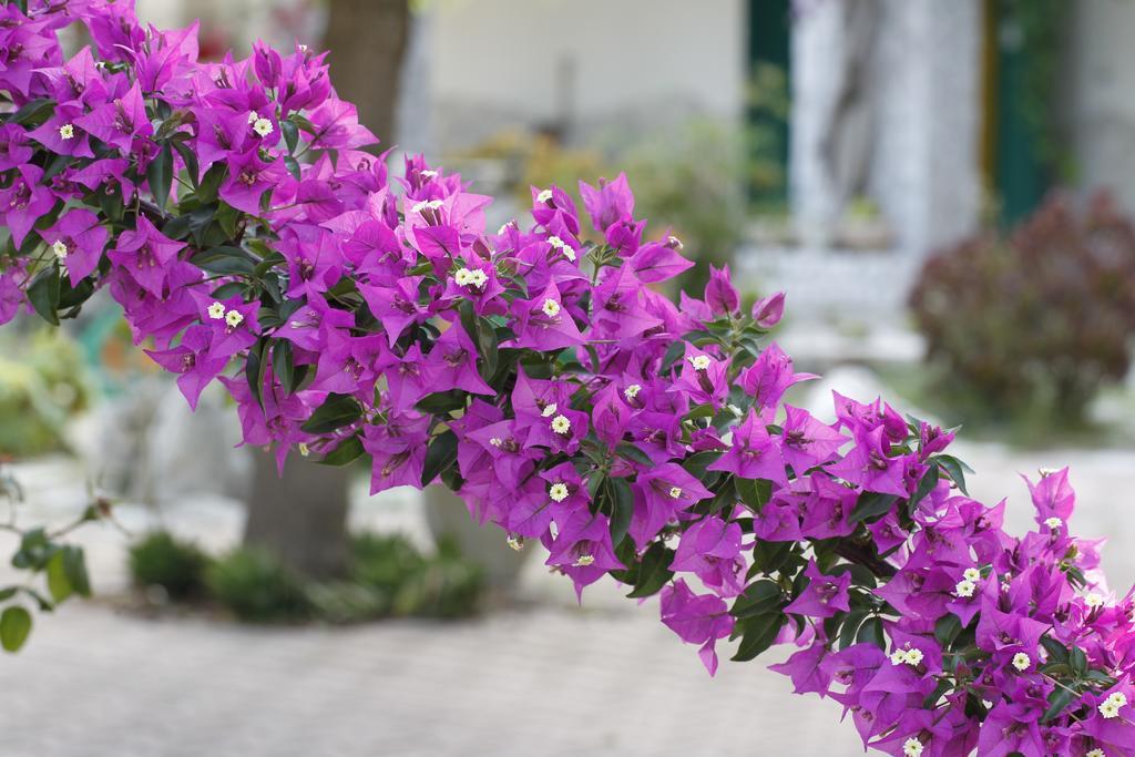 Agriturismo Posta Pastorella Весте Екстериор снимка